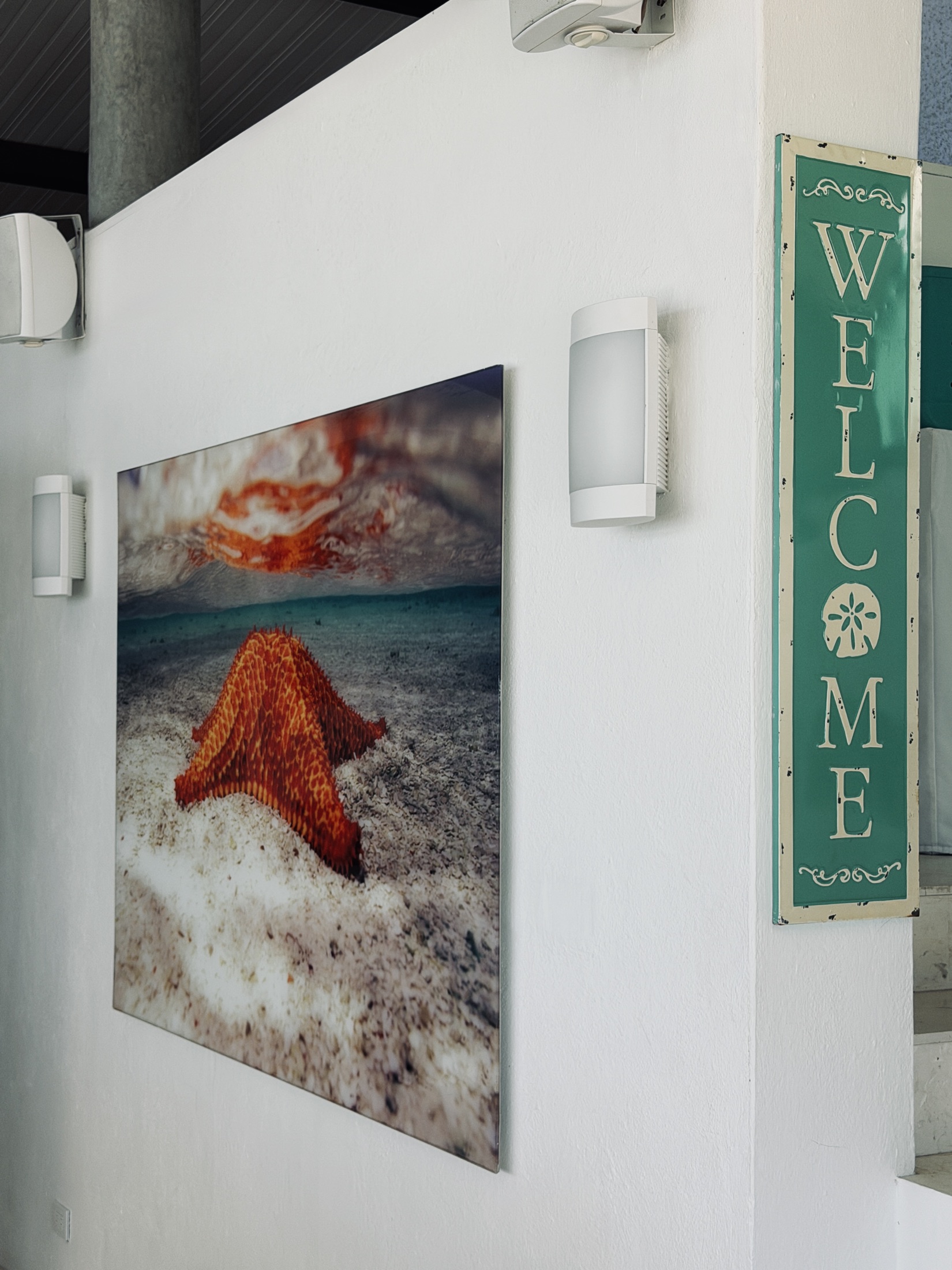 Bienvenidos — Casa Verde, Los Roques