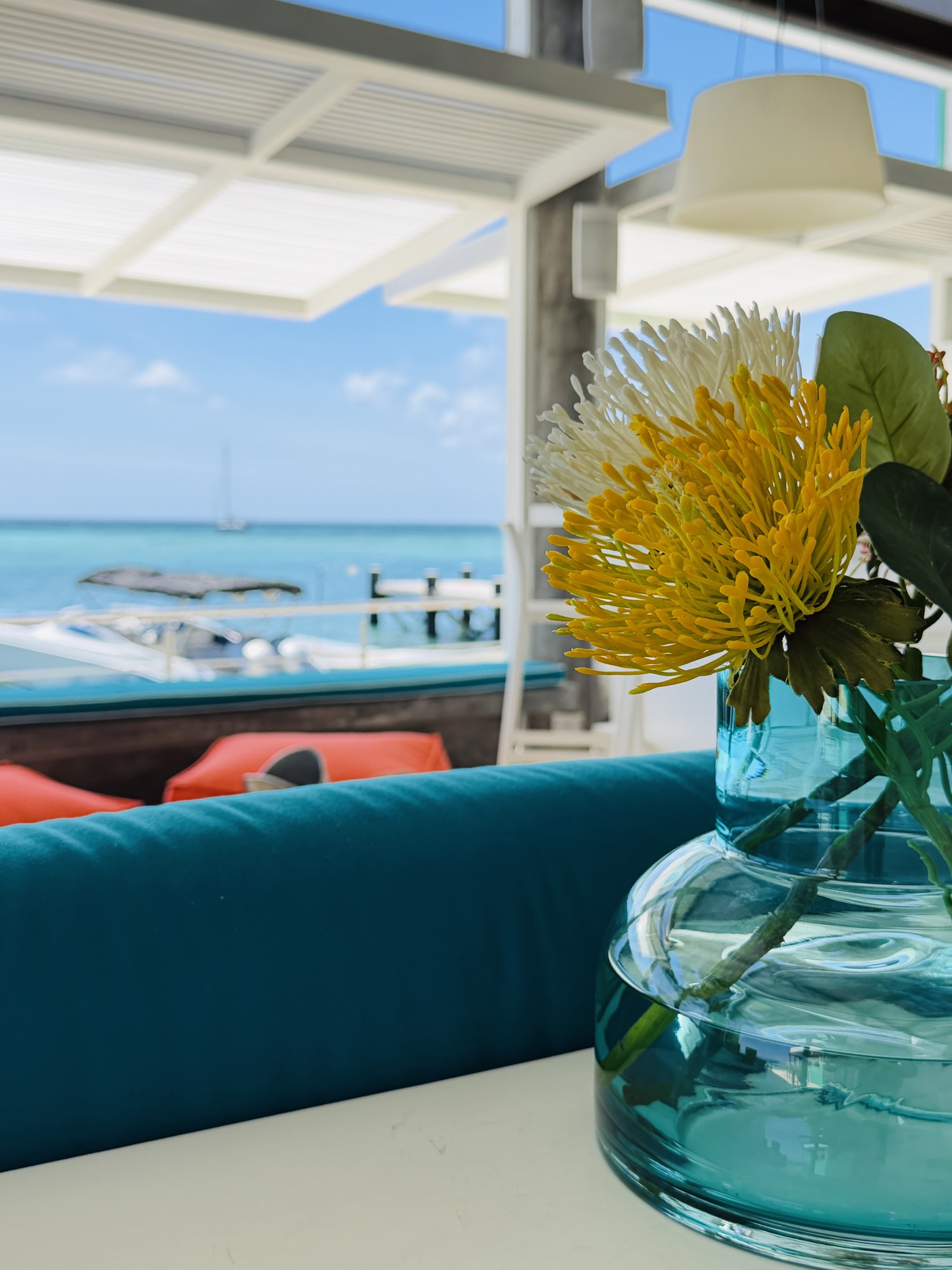 Flores frente al mar — Casa Verde, Los Roques