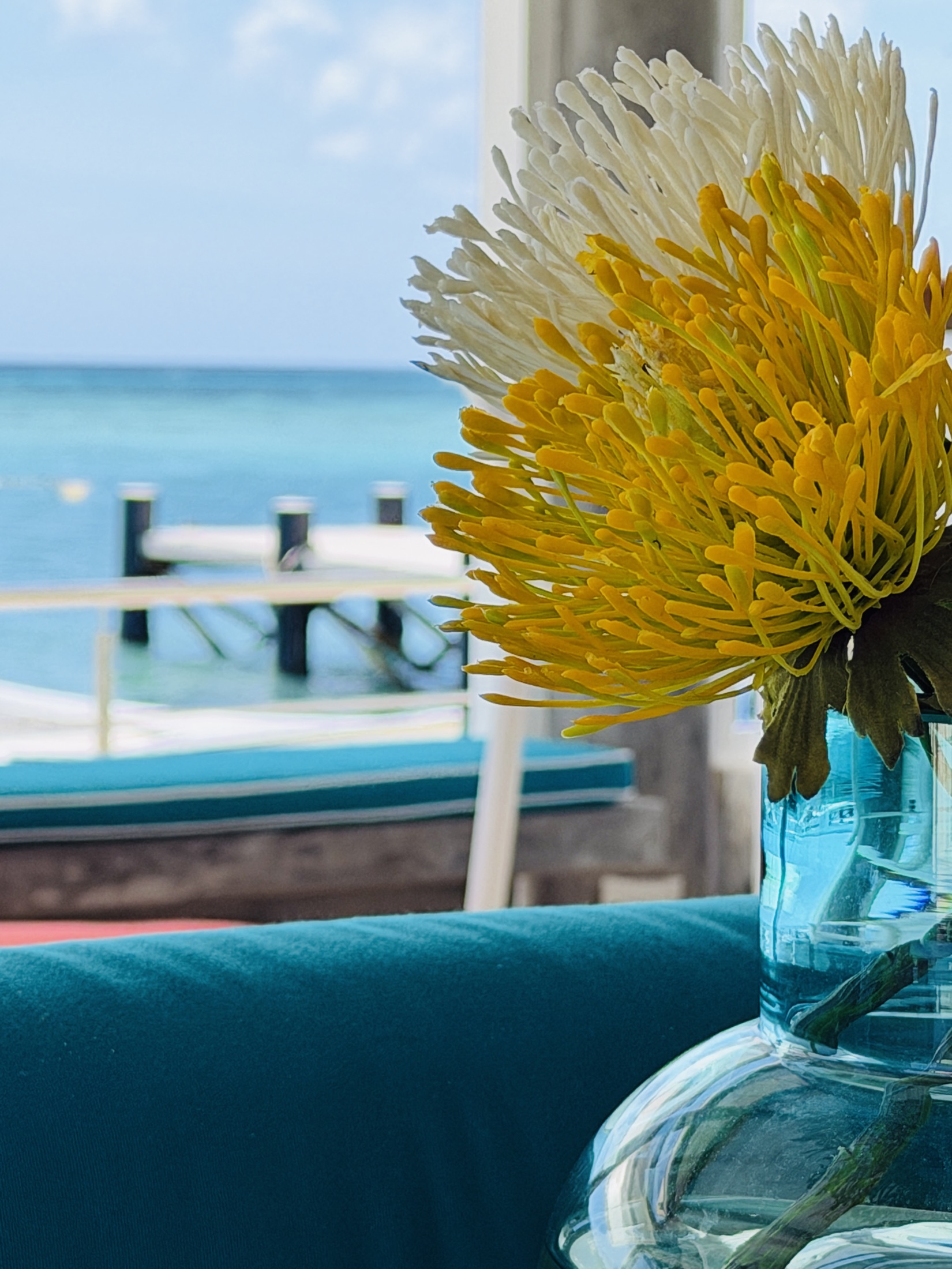 Detalle floral — Casa Verde, Los Roques