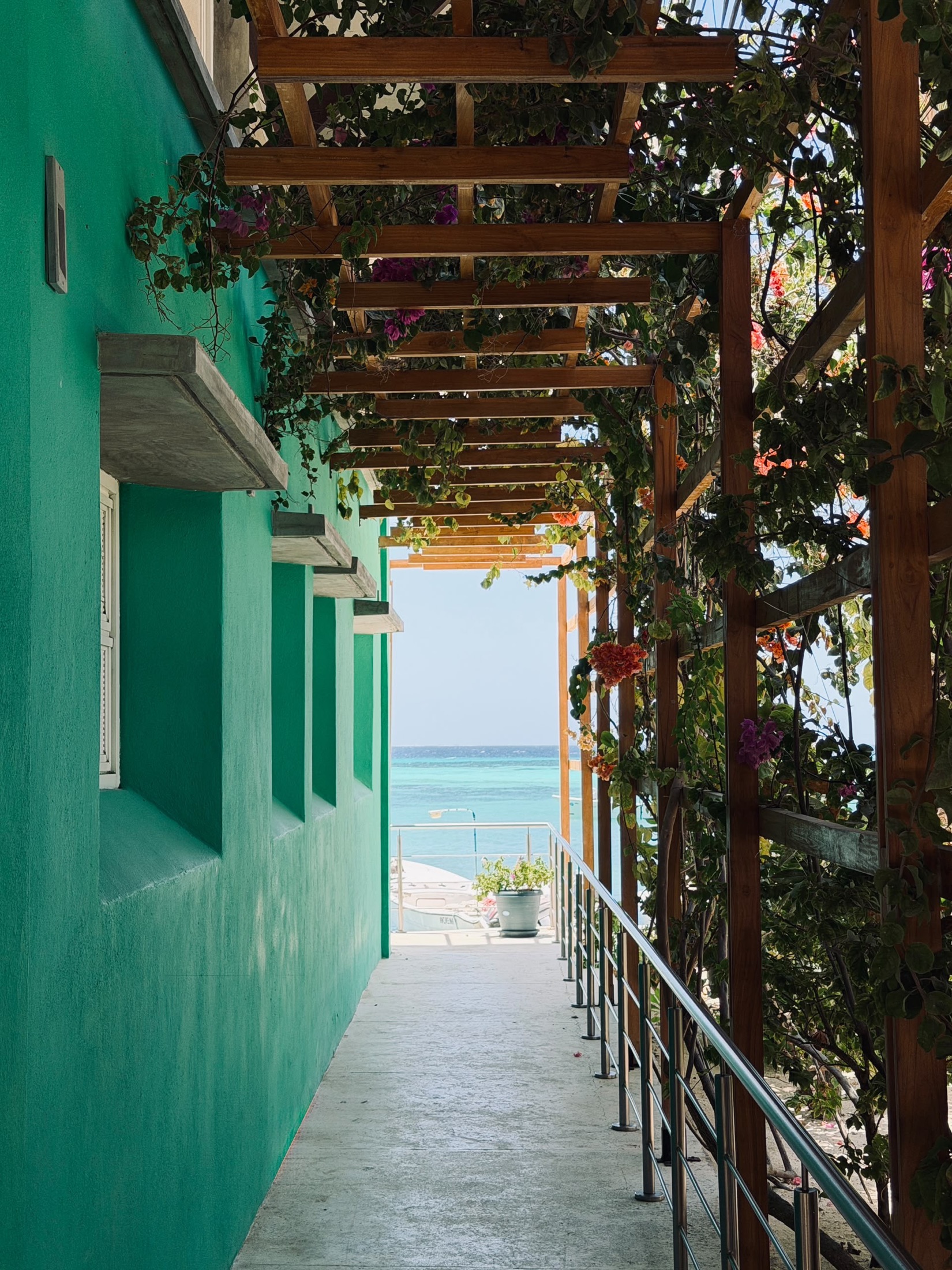 Pasillo verde de Casa Verde con buganvillas y el mar al fondo